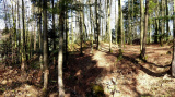 Blick über Graben zum Grabhügel 1